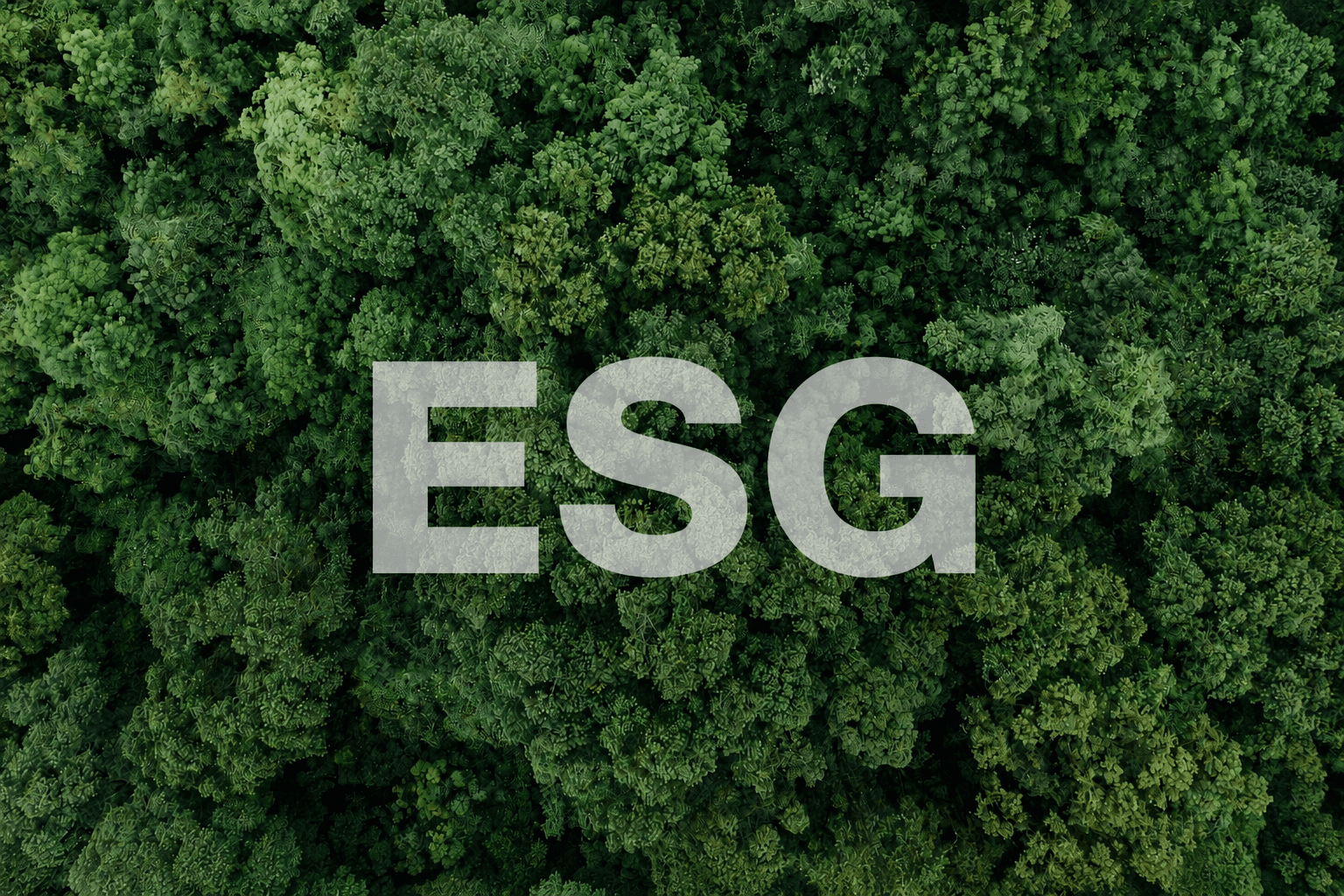 ESG 경영